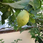 Relais Poschi לינה וארוחת בוקר